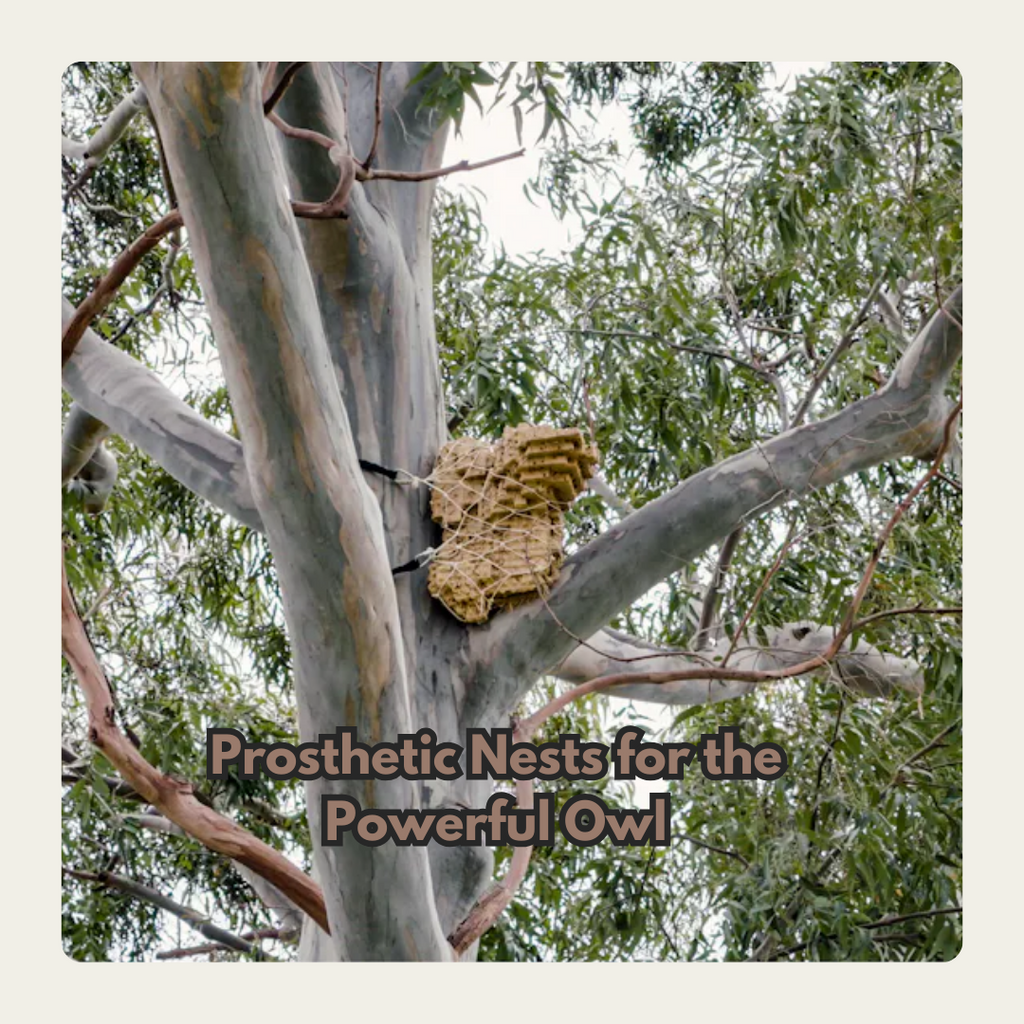 3D Nest Printing for Powerful Owls