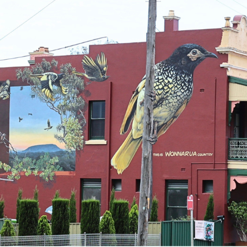 Australian Bird Street Art